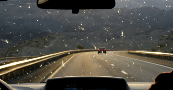 Como Remover Mosquitos do Carro