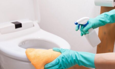 como limpar sanitas