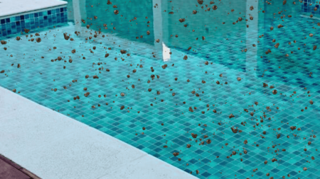 clareador de agua para piscina