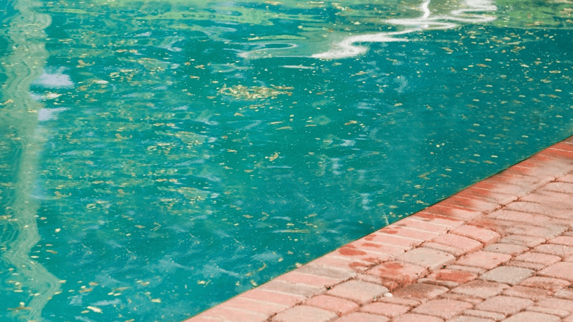 clarificante para piscina