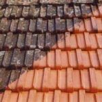 Lave o seu telhado com facilidade e segurança